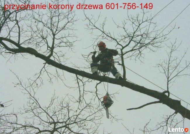 wycinanie drzew arborystyka 505-933-515 sląskie