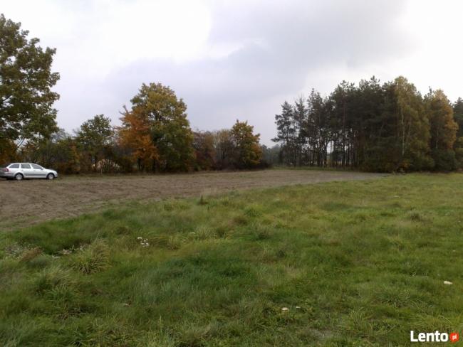 Działka budowlana Gutowo/ Zarośla Cienkie pow.toruński