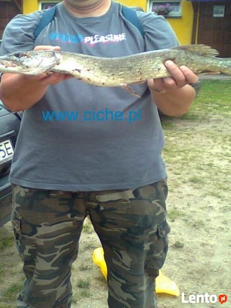 Agroturystyka Nad Jeziorem w okuł las i jeziora