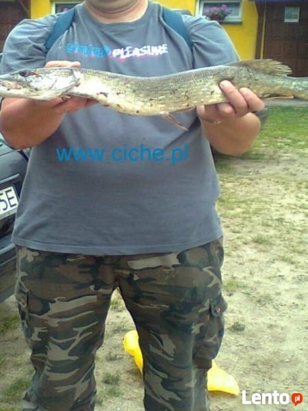 Pokoje Gościnne Zwierzęta miniZOO jeziora ośrodek narciarski