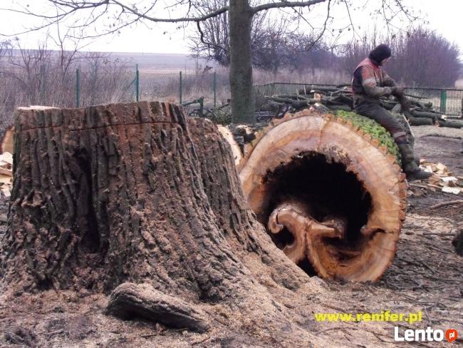 Wycinka drzew metodami alpinistycznymi, usługi rębakiem
