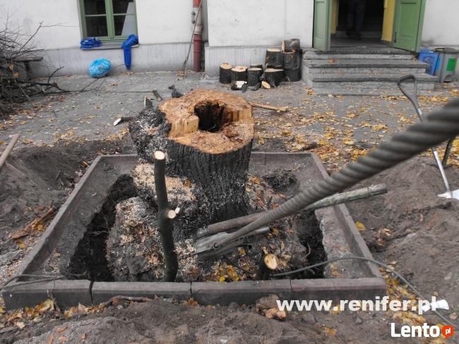 Wycinka drzew metodami alpinistycznymi, usługi rębakiem