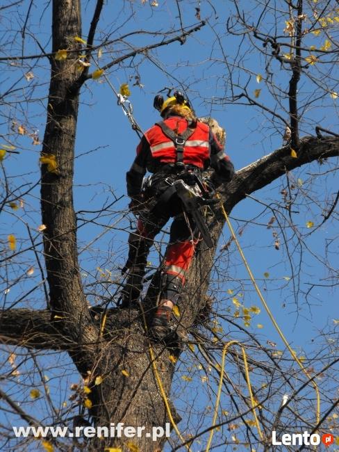 Wycinka drzew metodami alpinistycznymi, usługi rębakiem