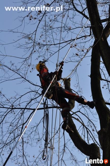 Wycinka drzew metodami alpinistycznymi, usługi rębakiem