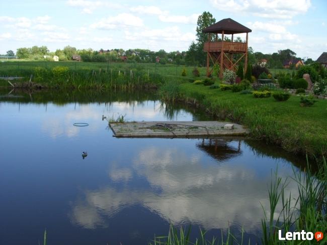 Agroturystyka nad Biebrzą