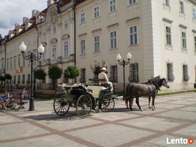 Bryczka Powóz konny do Ślubu Wesele Imprezy Okolicznościowe