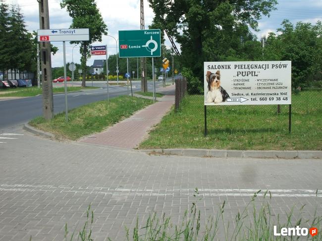 STRZYŻENIE PSÓW GROOMER SIEDLCE Salonik ,, PUPIL ,,