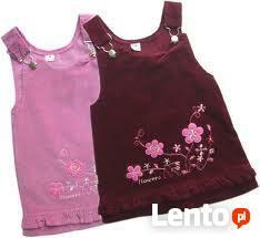 sztruks w kolorze brąż , róż, chaber..............