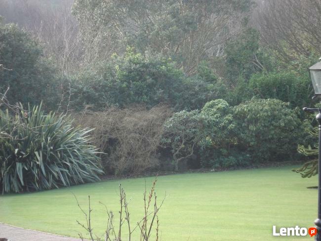 Formowanie krzewów Bełchatów, Usługi ogrodnicze Bełchatów,