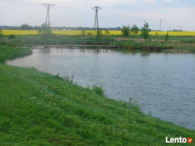 domki letniskowe z łowiskiem