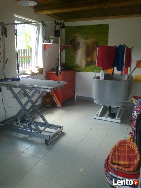 Salon Pielęgnacji psów i kotów Joanna Batko