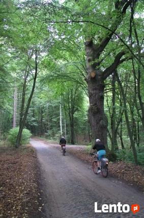 Domek w parku krajobrazowym w lesie blisko jezior