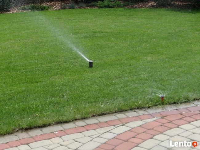 Zakładanie, pielęgnacja ogrodów Kielce i okolice