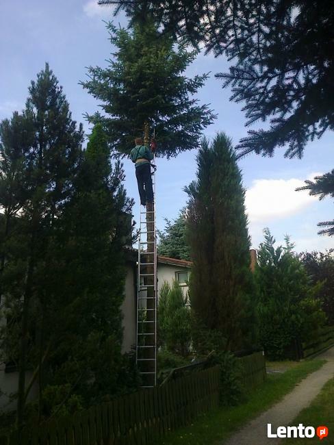 WYCINANIE I PRZYCINANIE DRZEW.