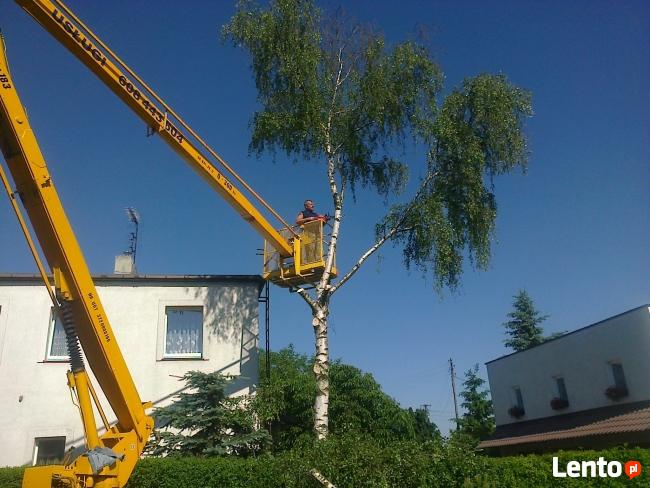 WYCINANIE I PRZYCINANIE DRZEW.