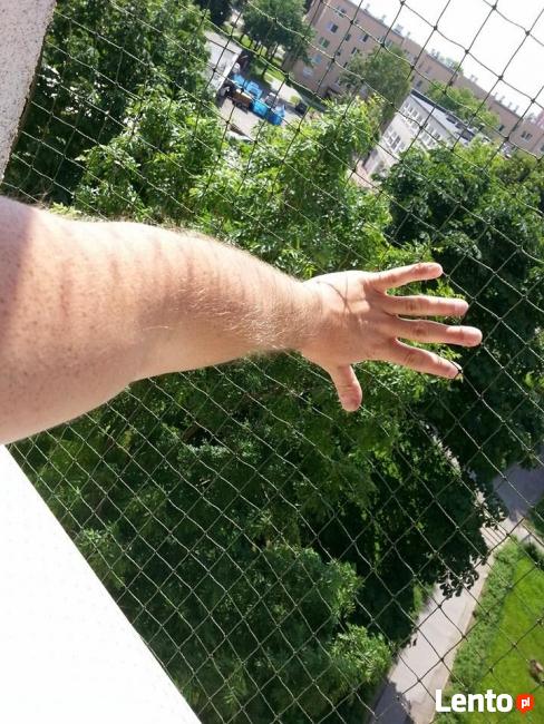 Siatka dla kota na balkon. zabezpieczenie balkonu