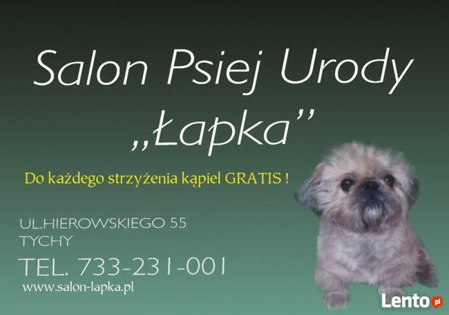 SalonŁAPKA Strzyżenie psów ,psi fryzjer