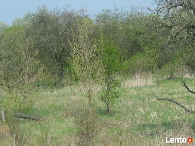 Sprzedam nieruchomość – gospodarstwo rolne