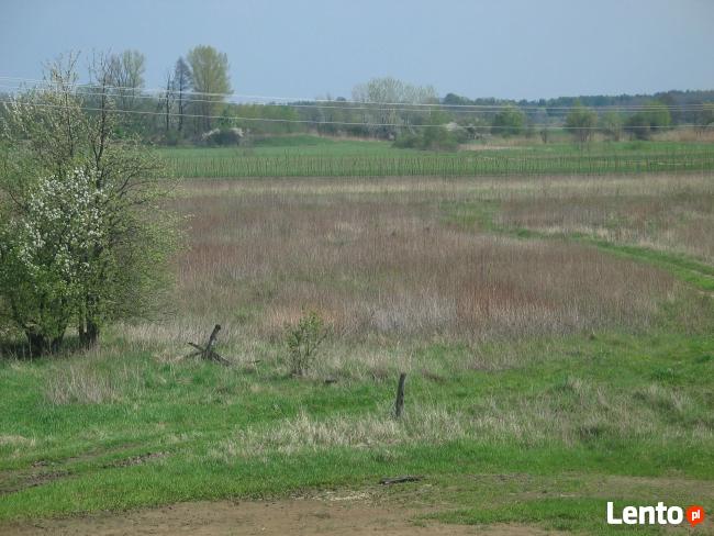 Sprzedam nieruchomość – gospodarstwo rolne