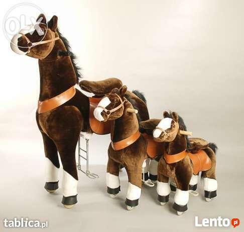 Kule wodne dmuchańce gokarty zamki dmuchane festyn dożynki