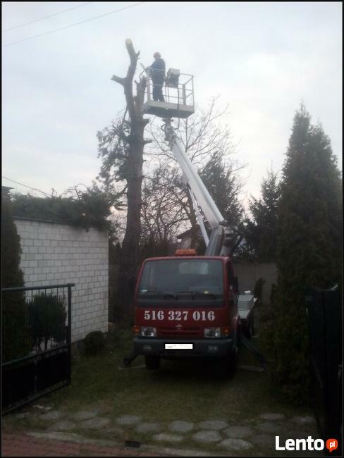 Wycinka i pielęgnacja drzew podnośnikiem Warszawa i okolice