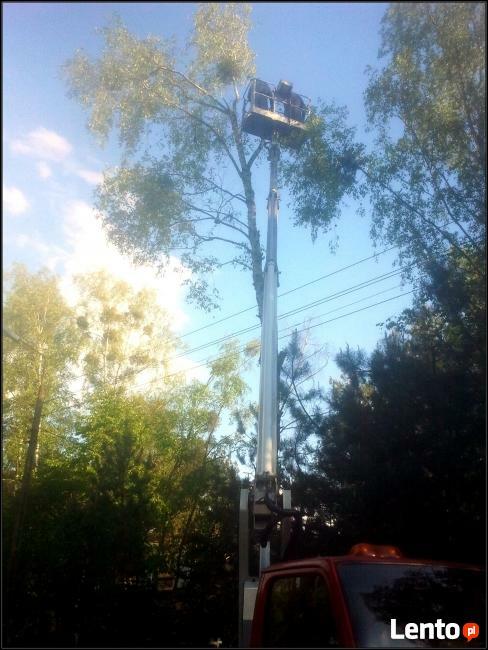 Wycinka i pielęgnacja drzew podnośnikiem Warszawa i okolice