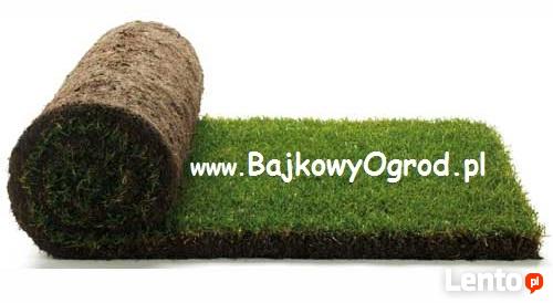 Nawadnianie, systemy nawadniające, odwodnienia, usługi