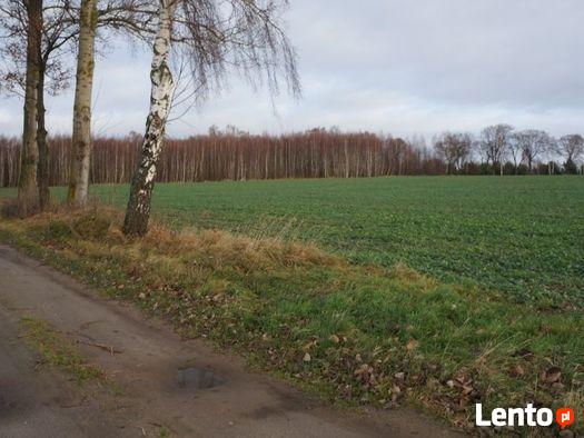 Twój kawałek Mazur