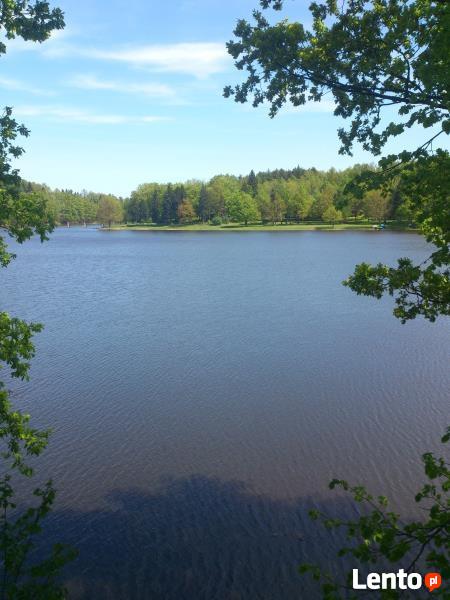 Domki nad jeziorem 2,4,6 i 8 nosobowe w Karłowicach