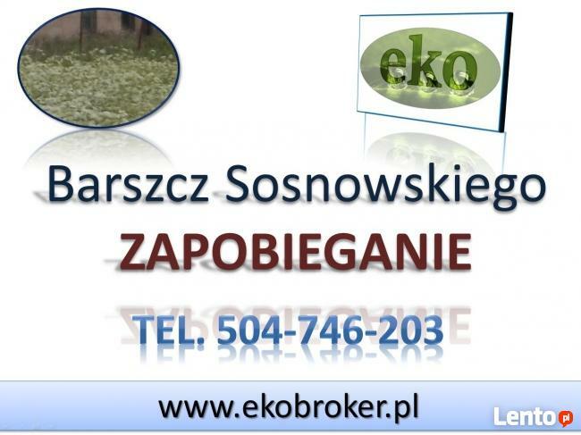 Barszcz Sosnowskiego, zwalczanie, usuwanie, likwidacja