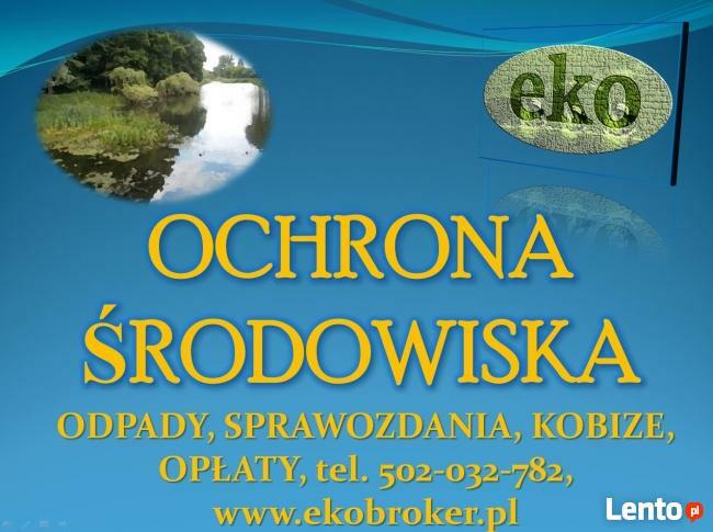 Barszcz Sosnowskiego, zwalczanie, usuwanie, likwidacja