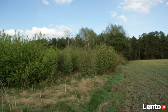 DZIAŁKA z WZ ok. 8 km od B-stoku - Pasynki gmina Zabłudów