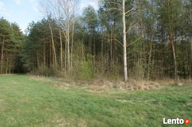 DZIAŁKA z WZ ok. 8 km od B-stoku - Pasynki gmina Zabłudów