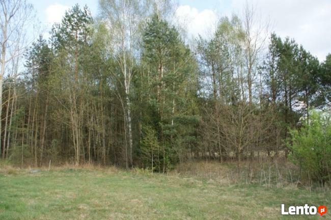 DZIAŁKA z WZ ok. 8 km od B-stoku - Pasynki gmina Zabłudów