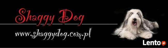SHAGGY DOG - SPA, hotel, minisklep dla psa i kota