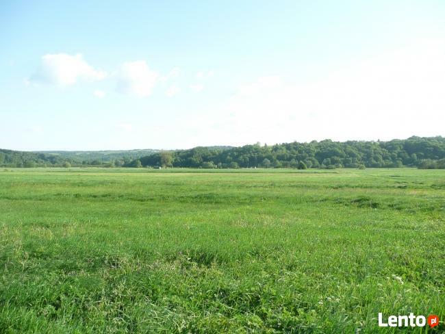 DOLINA SANU !!! Sprzedam - MALOWNICZE działki nad SANEM !!!
