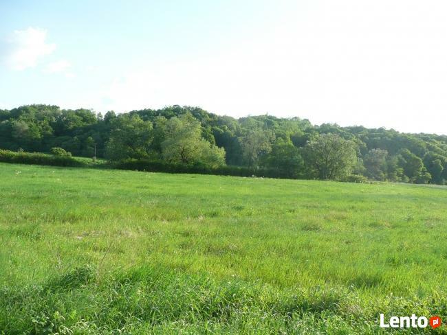 DOLINA SANU !!! Sprzedam - MALOWNICZE działki nad SANEM !!!