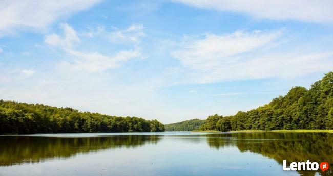 Psychoterapia psychoanalityczna, psychoterapeuta Gdynia