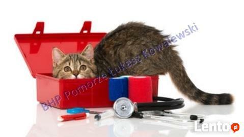 Pierwsza pomoc przedmedyczna- profesjonalne szkolenia