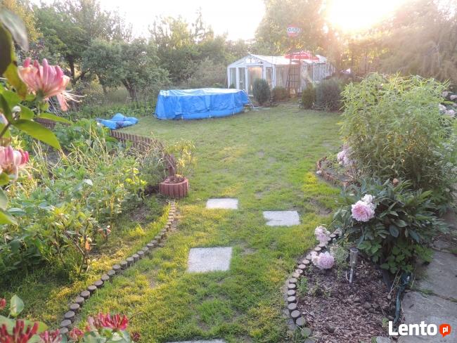 pole namiotowe ,,Oaza