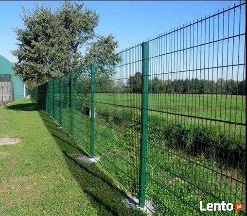 Panel ogrodzeniowy 2D 1230mm x 2500mm 8/6/8 mm oc+kolor