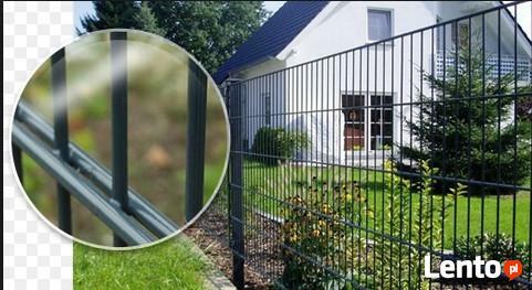 Panel ogrodzeniowy 2D 1230mm x 2500mm 8/6/8 mm oc+kolor