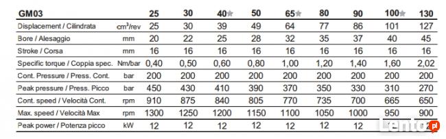 silnik hydrauliczny SAI GM03-100 wydajność-101cm3/obr