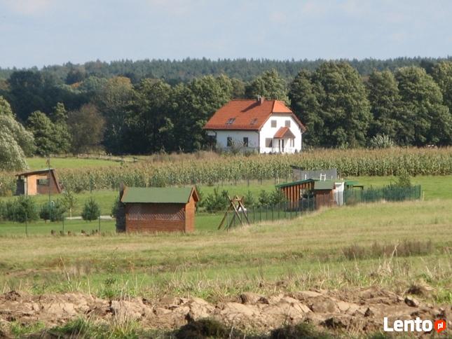Mazury działki nad. jeziorem Rańskim.