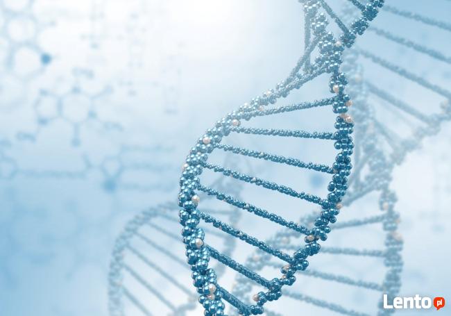 BADANIA DNA