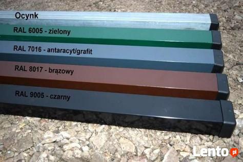 Panel ogrodzeniowy 3D 123x250cm ocynk + kolor z montażem