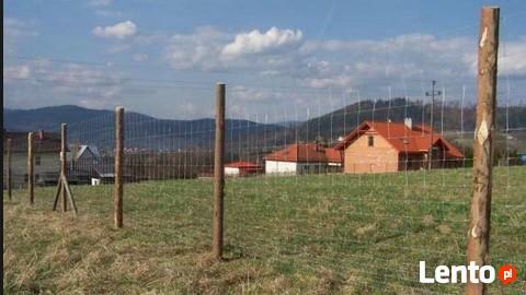 Siatka leśna/budowlana - 200/17/30 L 50mb ocynk