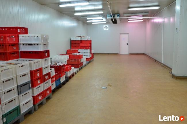 sprzedam lub wynajmę zakład mięsny