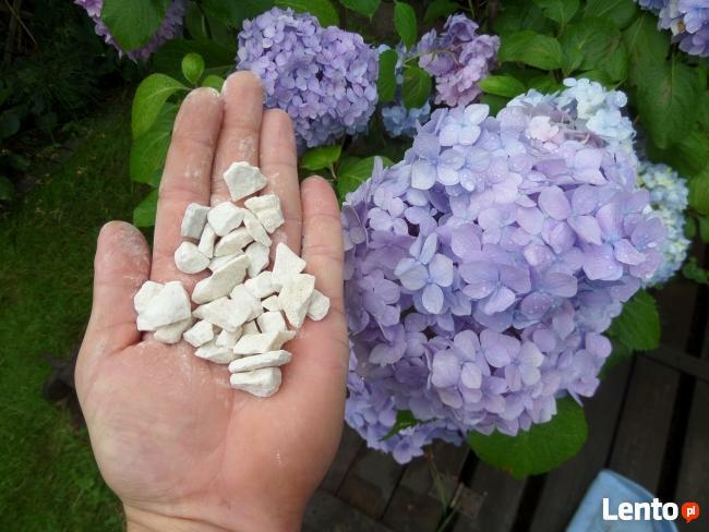 BIAŁY GRYS BIAŁA MARIANNA 10-16