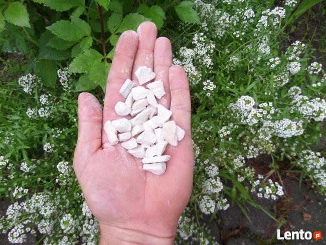 BIAŁY GRYS BIAŁA MARIANNA 10-16